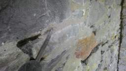 acastle
                          110345.jpg